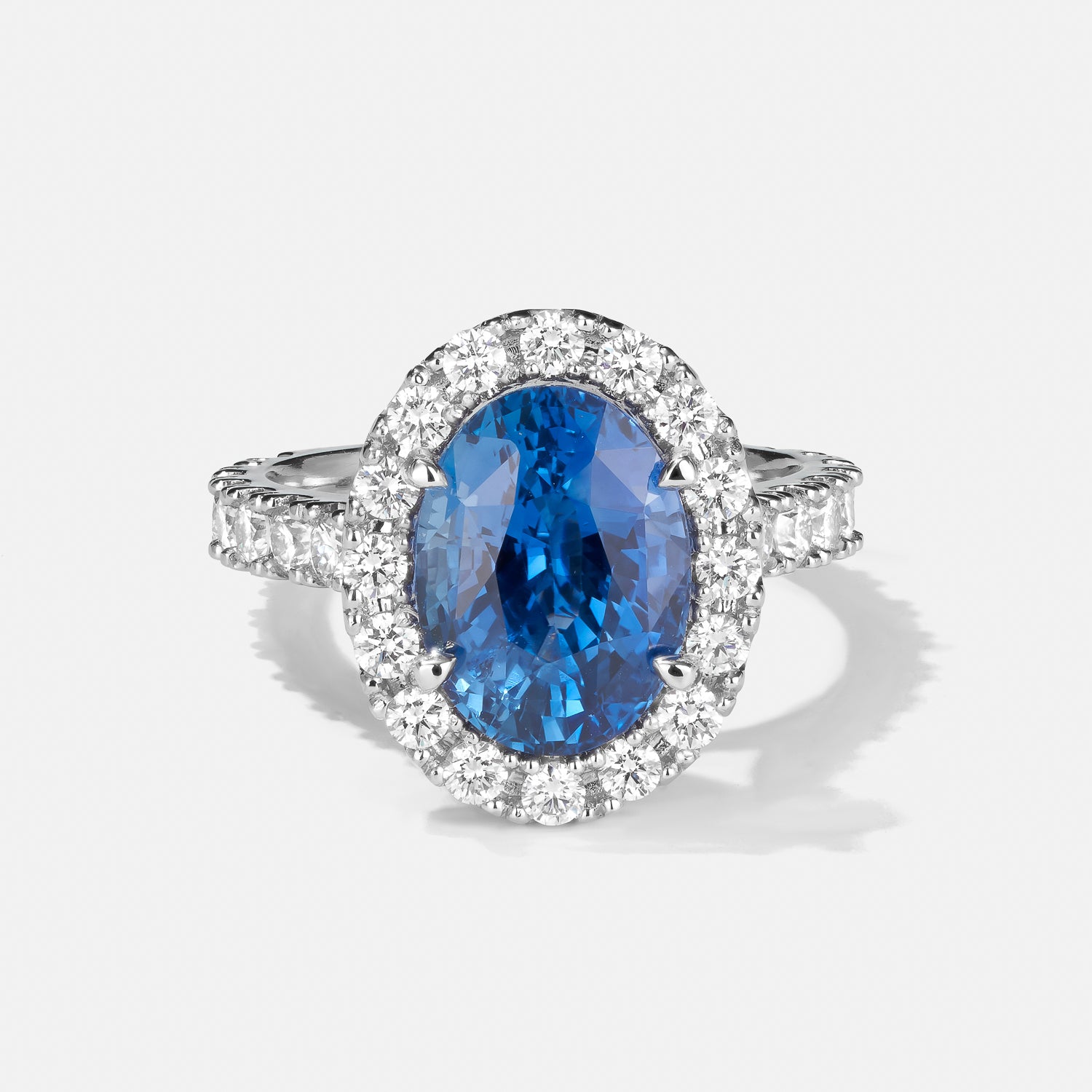 Ceylon Sapphire Halo